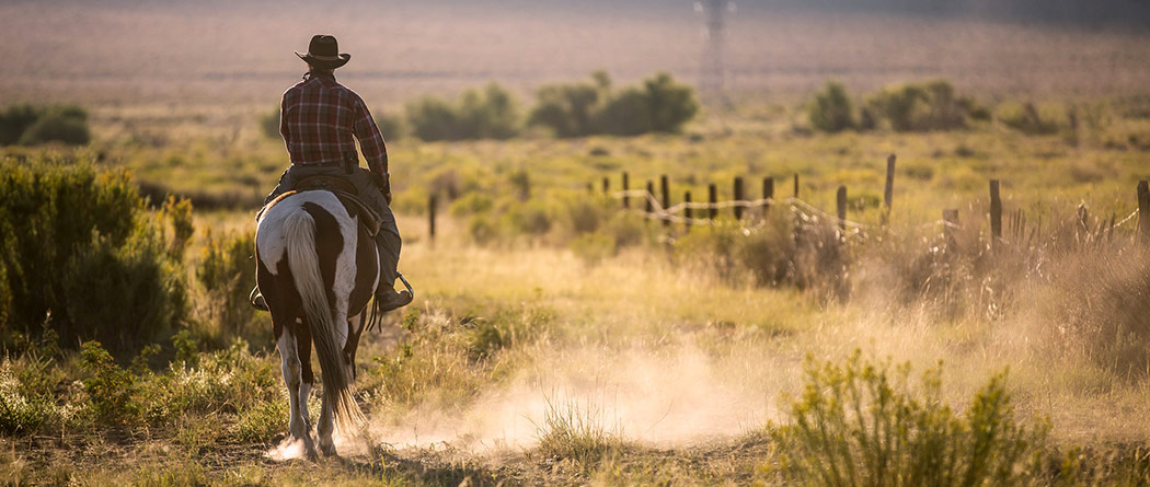 Man on horseback riding down a dirt path