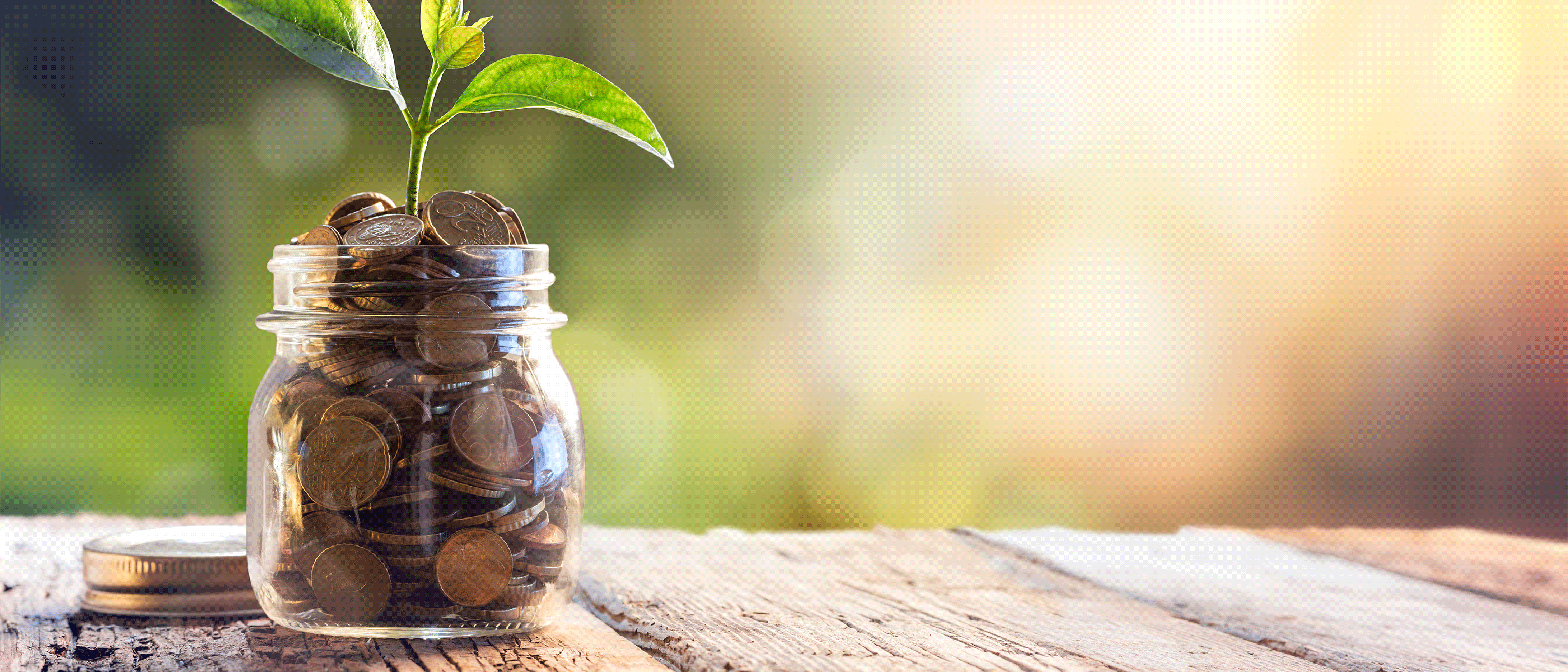 Small Jar with coins and a tree growing out of it